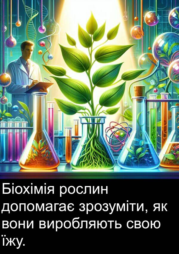 їжу: Біохімія рослин допомагає зрозуміти, як вони виробляють свою їжу.