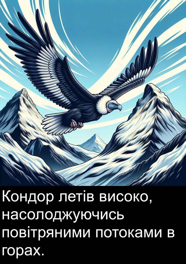 горах: Кондор летів високо, насолоджуючись повітряними потоками в горах.