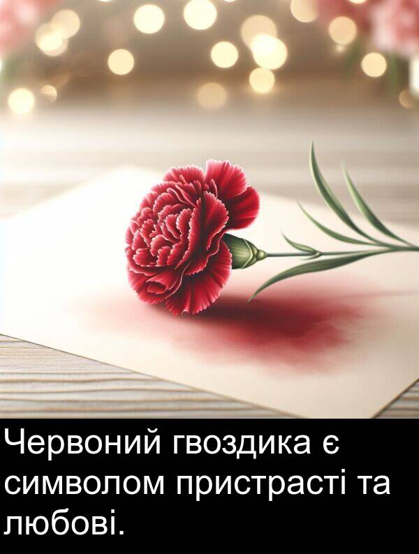 символом: Червоний гвоздика є символом пристрасті та любові.