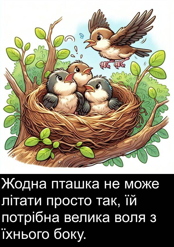 літати: Жодна пташка не може літати просто так, їй потрібна велика воля з їхнього боку.