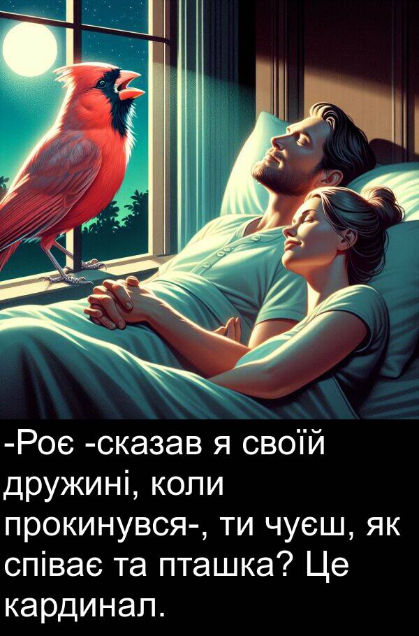 кардинал: -Роє -сказав я своїй дружині, коли прокинувся-, ти чуєш, як співає та пташка? Це кардинал.