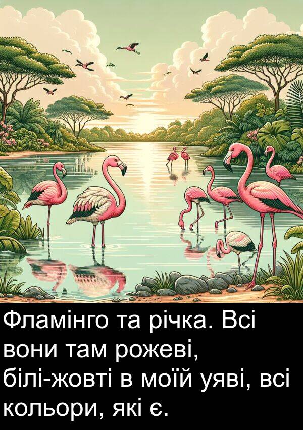 річка: Фламінго та річка. Всі вони там рожеві, білі-жовті в моїй уяві, всі кольори, які є.