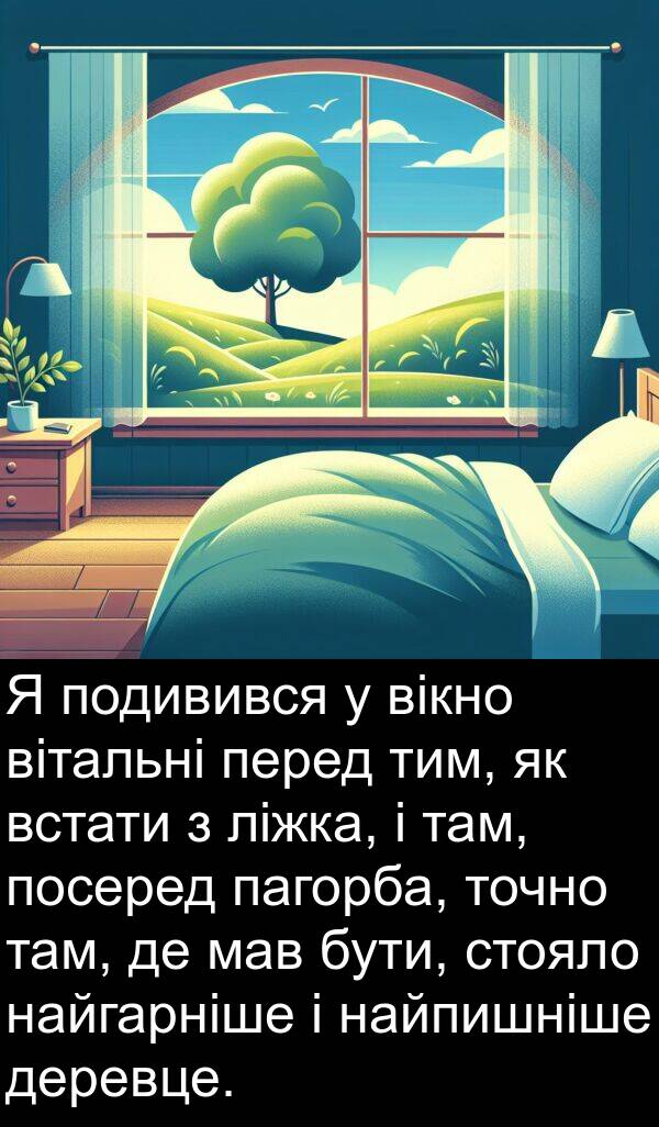 пагорба: Я подивився у вікно вітальні перед тим, як встати з ліжка, і там, посеред пагорба, точно там, де мав бути, стояло найгарніше і найпишніше деревце.