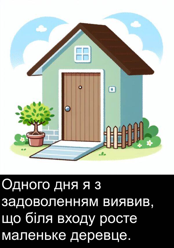 маленьке: Одного дня я з задоволенням виявив, що біля входу росте маленьке деревце.