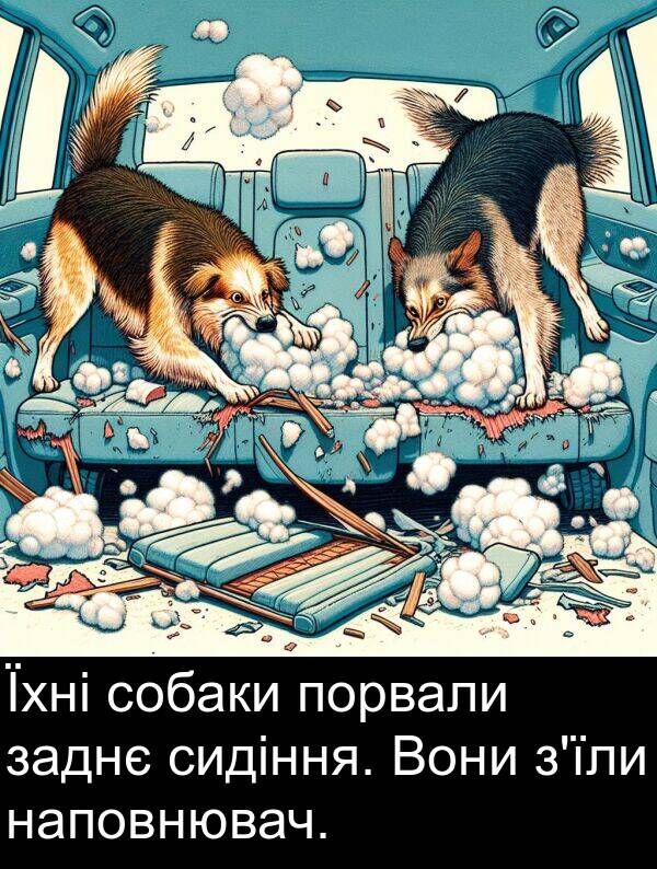 заднє: Їхні собаки порвали заднє сидіння. Вони з'їли наповнювач.