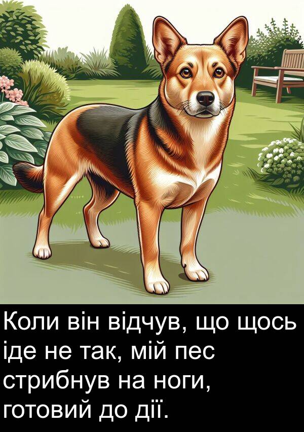 щось: Коли він відчув, що щось іде не так, мій пес стрибнув на ноги, готовий до дії.