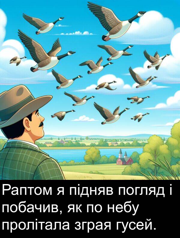 підняв: Раптом я підняв погляд і побачив, як по небу пролітала зграя гусей.