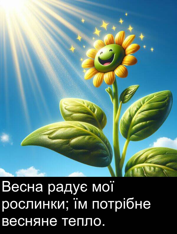 радує: Весна радує мої рослинки; їм потрібне весняне тепло.