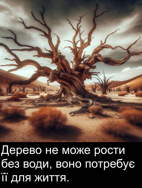 без: Дерево не може рости без води, воно потребує її для життя.