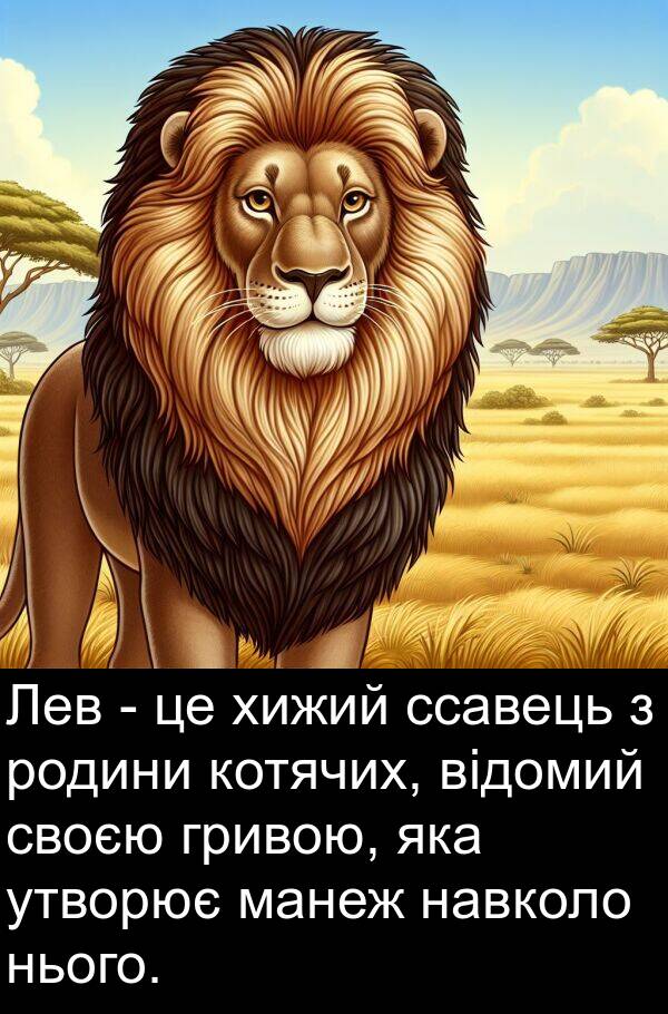 манеж: Лев - це хижий ссавець з родини котячих, відомий своєю гривою, яка утворює манеж навколо нього.