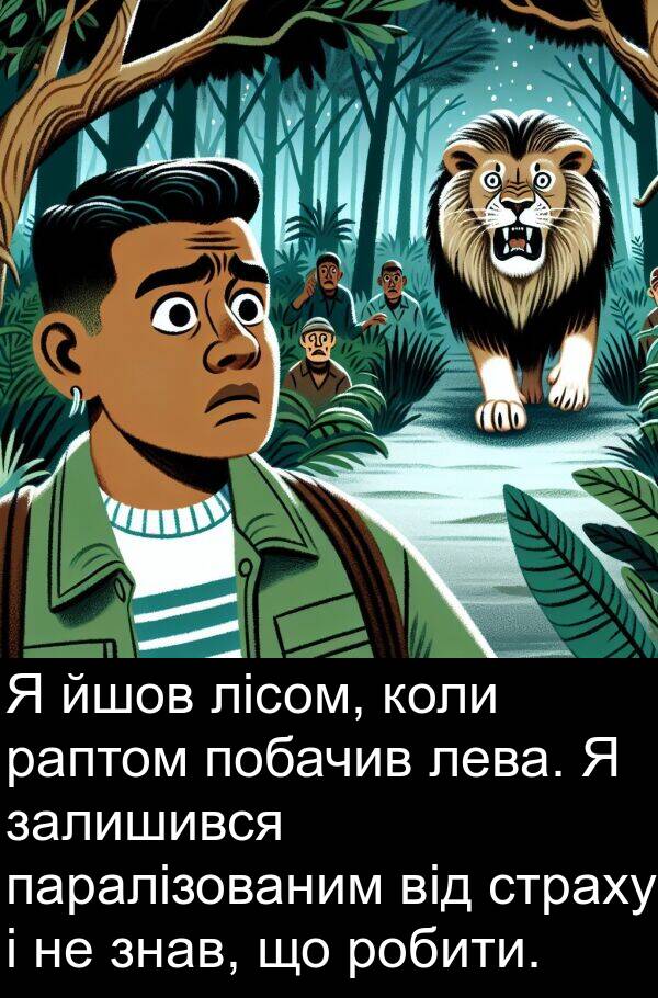 паралізованим: Я йшов лісом, коли раптом побачив лева. Я залишився паралізованим від страху і не знав, що робити.