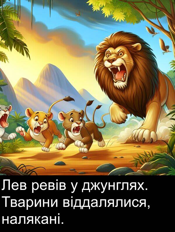 ревів: Лев ревів у джунглях. Тварини віддалялися, налякані.