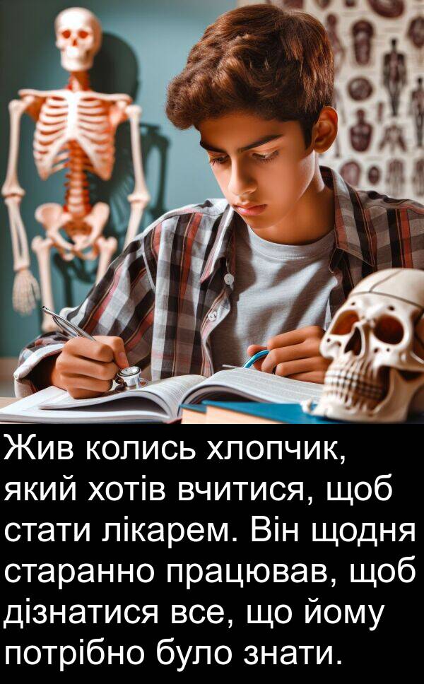 дізнатися: Жив колись хлопчик, який хотів вчитися, щоб стати лікарем. Він щодня старанно працював, щоб дізнатися все, що йому потрібно було знати.