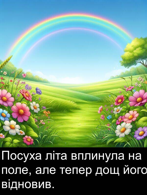 але: Посуха літа вплинула на поле, але тепер дощ його відновив.