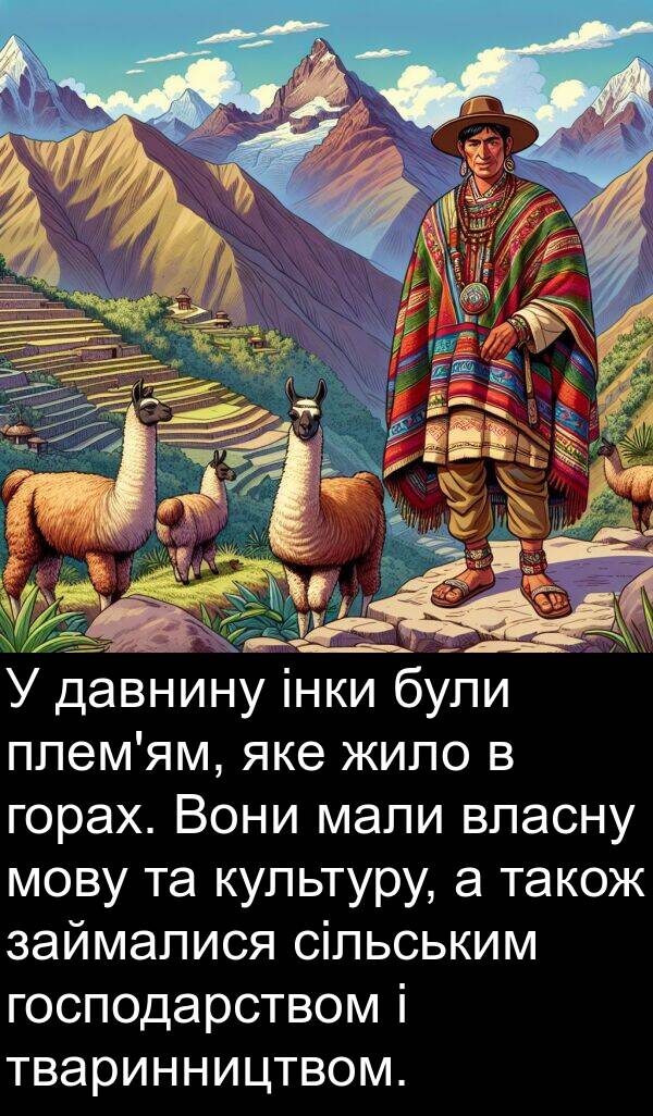 мали: У давнину інки були плем'ям, яке жило в горах. Вони мали власну мову та культуру, а також займалися сільським господарством і тваринництвом.