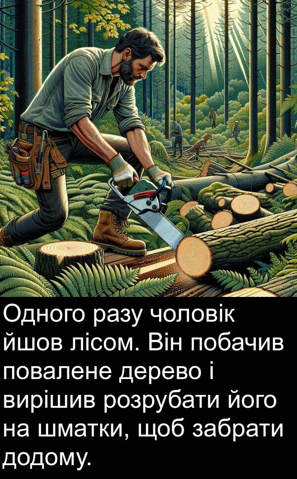 забрати: Одного разу чоловік йшов лісом. Він побачив повалене дерево і вирішив розрубати його на шматки, щоб забрати додому.