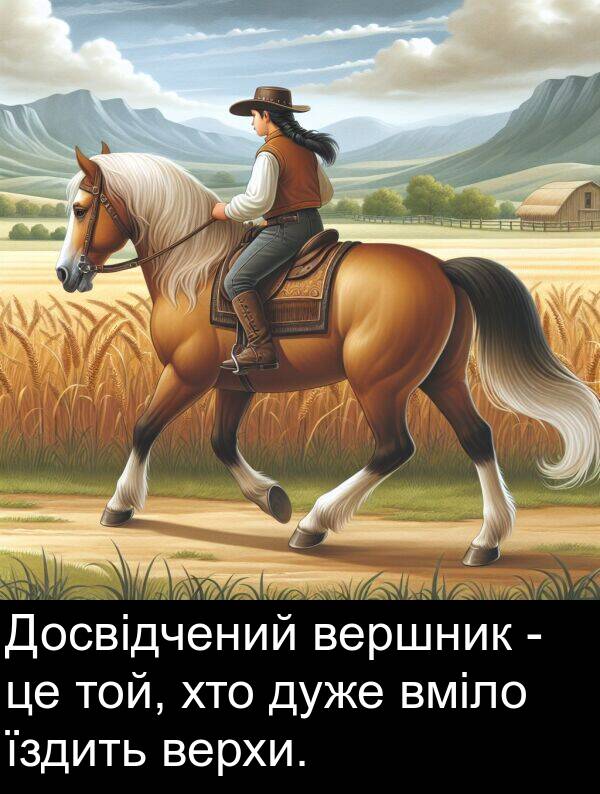 хто: Досвідчений вершник - це той, хто дуже вміло їздить верхи.