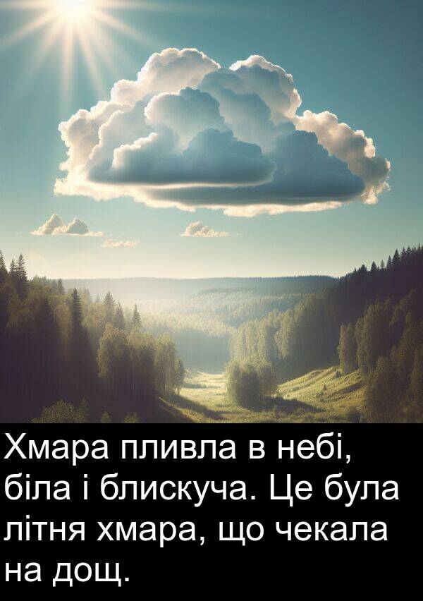 чекала: Хмара пливла в небі, біла і блискуча. Це була літня хмара, що чекала на дощ.