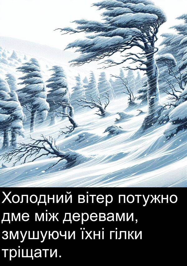 між: Холодний вітер потужно дме між деревами, змушуючи їхні гілки тріщати.