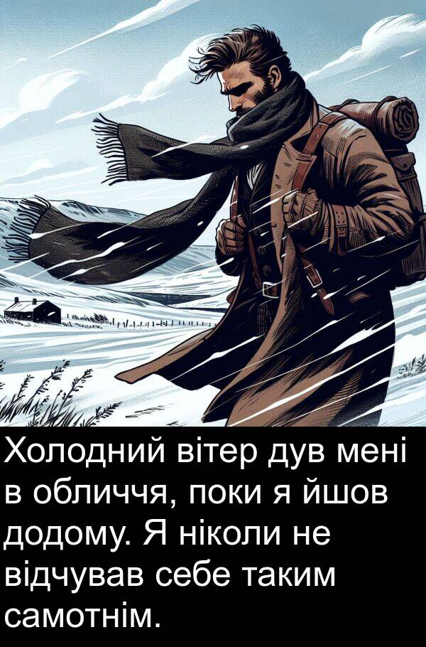 йшов: Холодний вітер дув мені в обличчя, поки я йшов додому. Я ніколи не відчував себе таким самотнім.