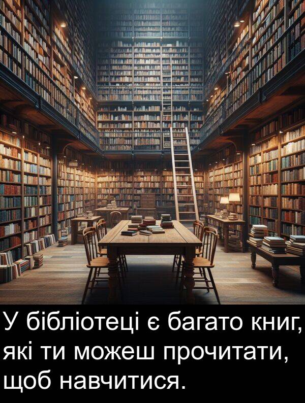 навчитися: У бібліотеці є багато книг, які ти можеш прочитати, щоб навчитися.