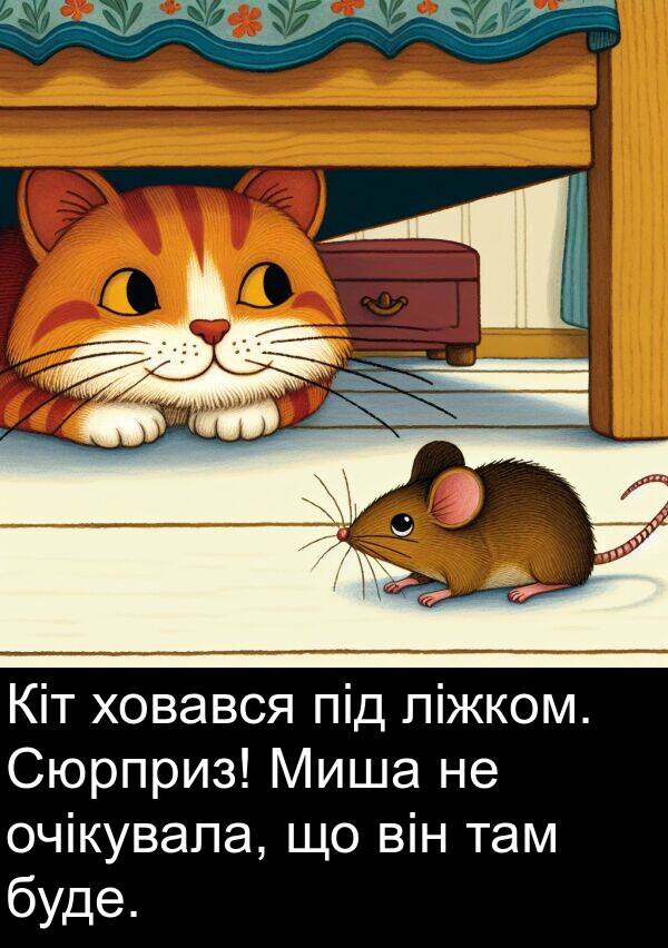 там: Кіт ховався під ліжком. Сюрприз! Миша не очікувала, що він там буде.