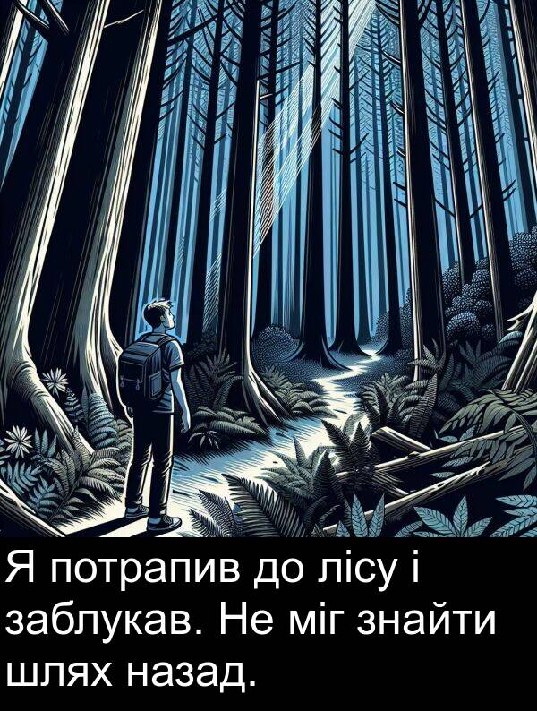 заблукав: Я потрапив до лісу і заблукав. Не міг знайти шлях назад.