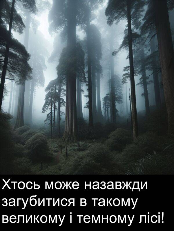 загубитися: Хтось може назавжди загубитися в такому великому і темному лісі!