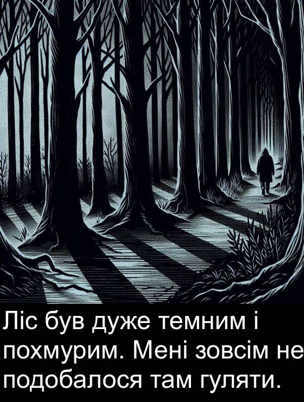 темним: Ліс був дуже темним і похмурим. Мені зовсім не подобалося там гуляти.