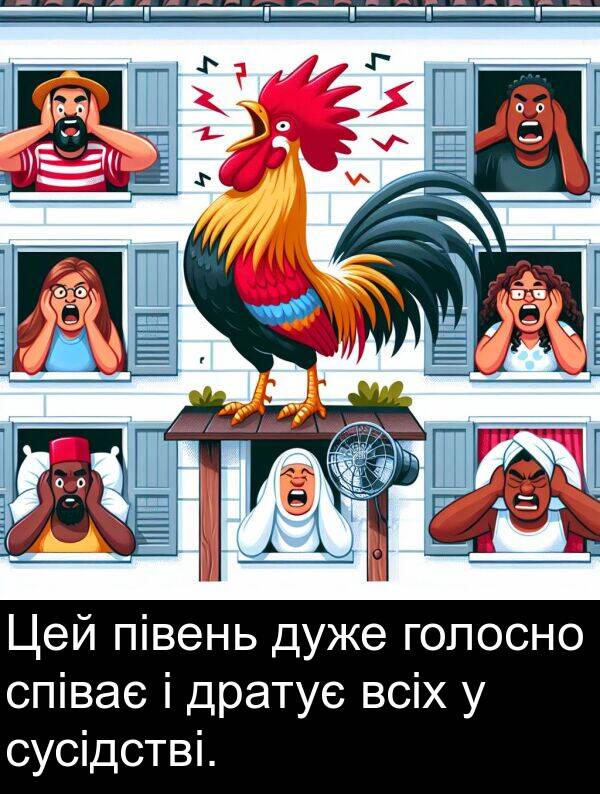 півень: Цей півень дуже голосно співає і дратує всіх у сусідстві.