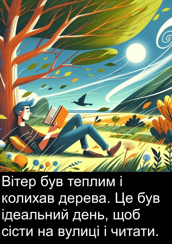 дерева: Вітер був теплим і колихав дерева. Це був ідеальний день, щоб сісти на вулиці і читати.