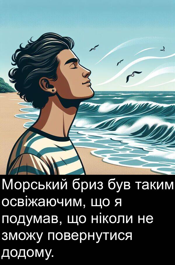 ніколи: Морський бриз був таким освіжаючим, що я подумав, що ніколи не зможу повернутися додому.
