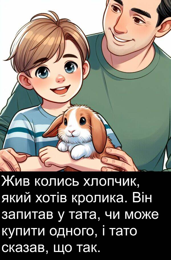 тата: Жив колись хлопчик, який хотів кролика. Він запитав у тата, чи може купити одного, і тато сказав, що так.