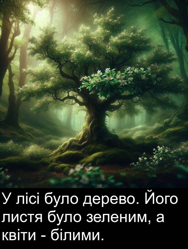 дерево: У лісі було дерево. Його листя було зеленим, а квіти - білими.