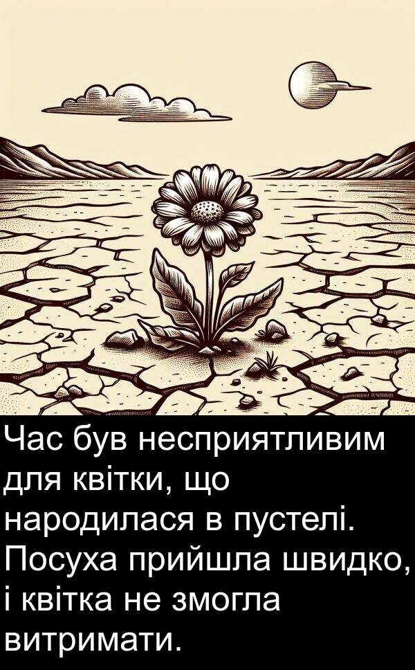 квітки: Час був несприятливим для квітки, що народилася в пустелі. Посуха прийшла швидко, і квітка не змогла витримати.