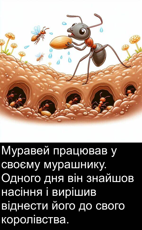 віднести: Муравей працював у своєму мурашнику. Одного дня він знайшов насіння і вирішив віднести його до свого королівства.