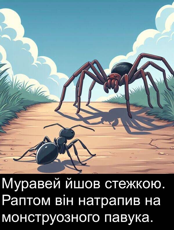 йшов: Муравей йшов стежкою. Раптом він натрапив на монструозного павука.