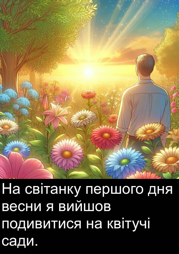 квітучі: На світанку першого дня весни я вийшов подивитися на квітучі сади.