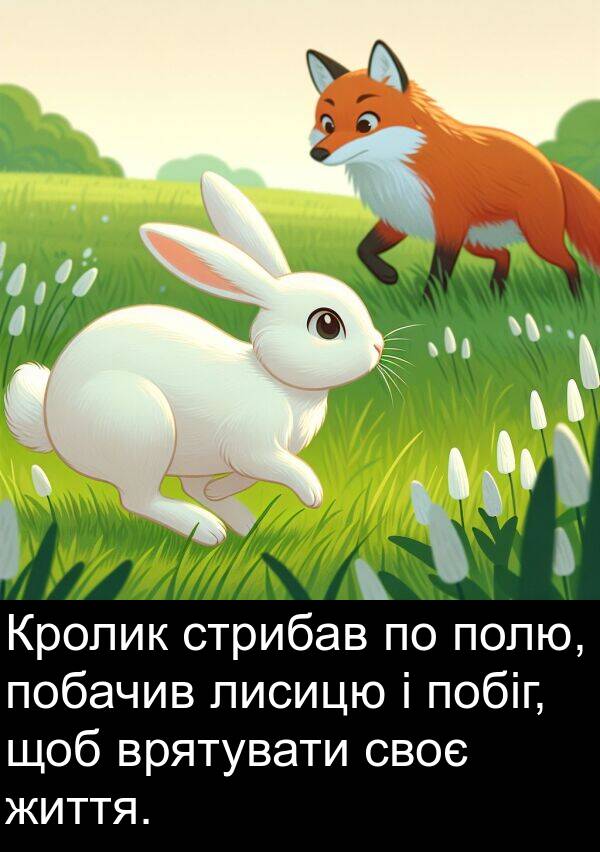 своє: Кролик стрибав по полю, побачив лисицю і побіг, щоб врятувати своє життя.