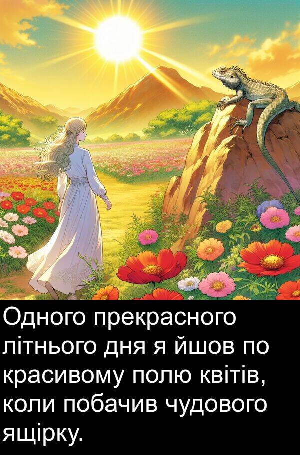 йшов: Одного прекрасного літнього дня я йшов по красивому полю квітів, коли побачив чудового ящірку.