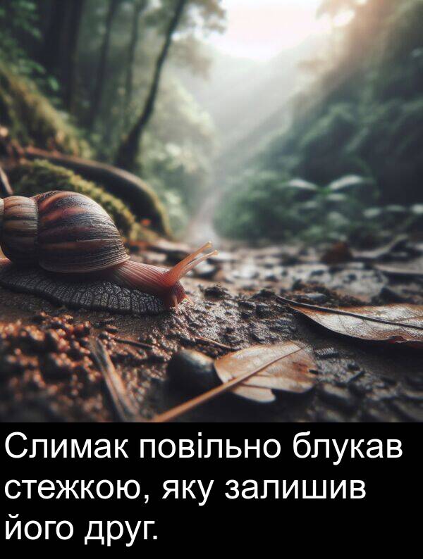 залишив: Слимак повільно блукав стежкою, яку залишив його друг.