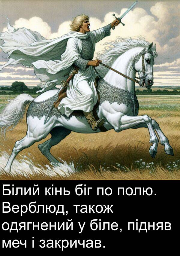 закричав: Білий кінь біг по полю. Верблюд, також одягнений у біле, підняв меч і закричав.