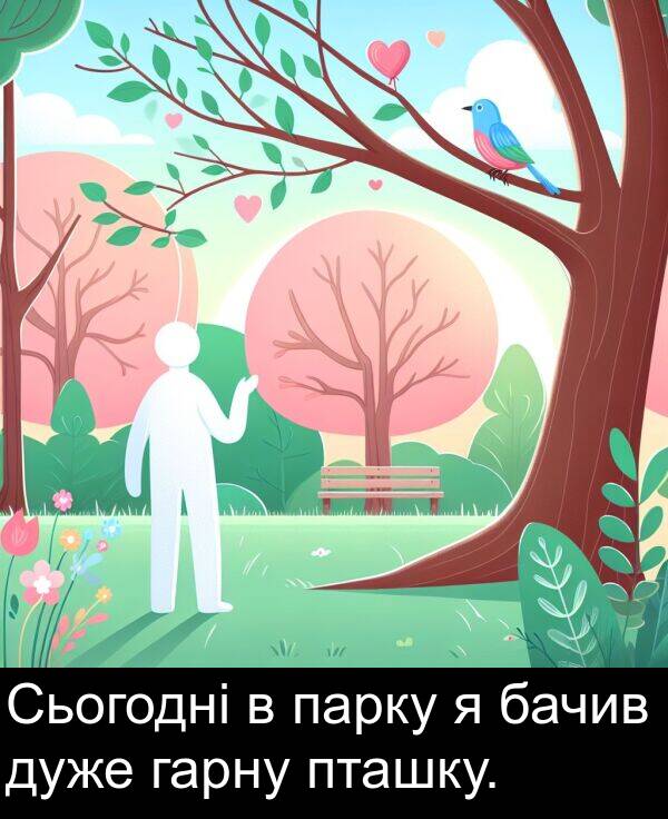 парку: Сьогодні в парку я бачив дуже гарну пташку.