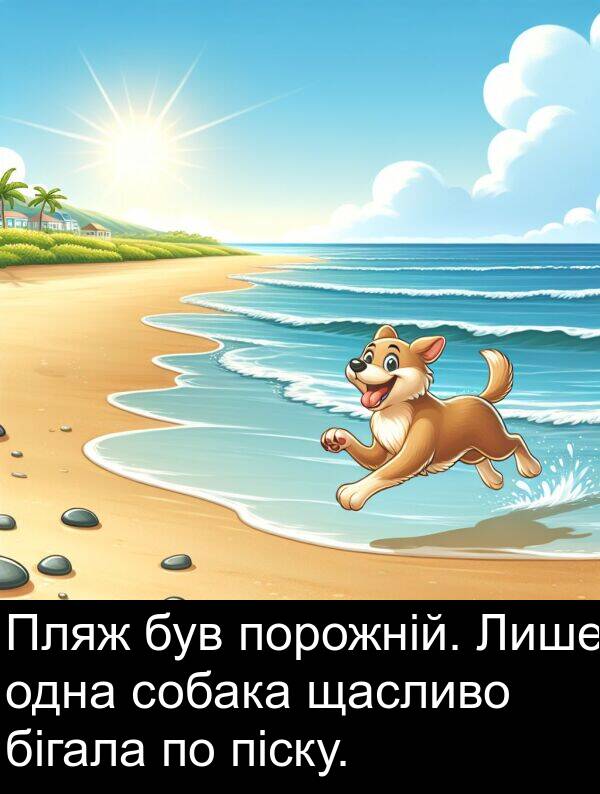 піску: Пляж був порожній. Лише одна собака щасливо бігала по піску.