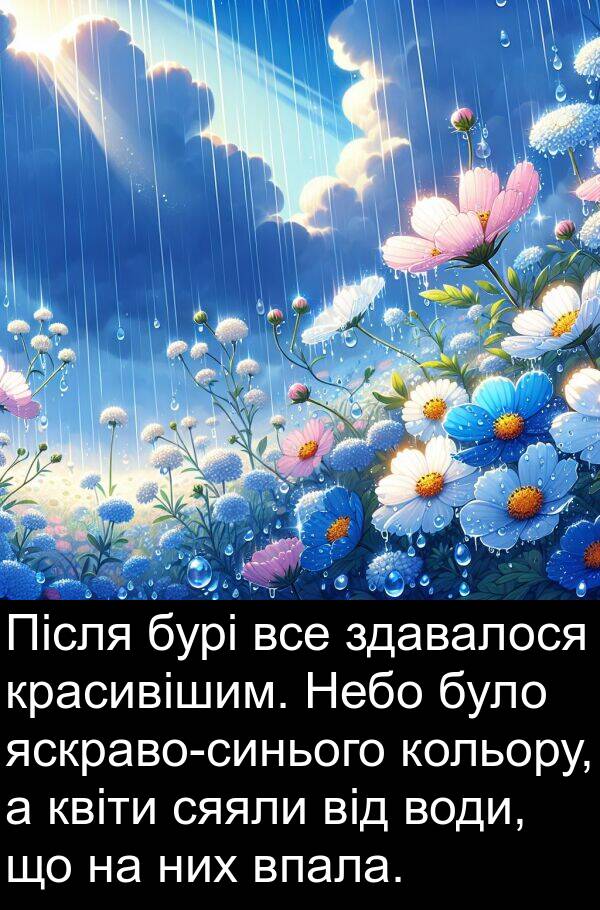 квіти: Після бурі все здавалося красивішим. Небо було яскраво-синього кольору, а квіти сяяли від води, що на них впала.