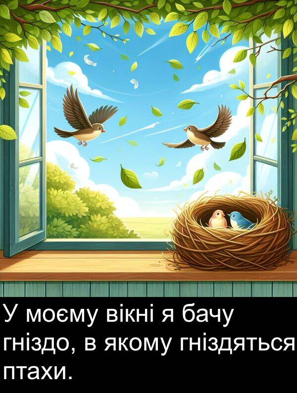 гніздо: У моєму вікні я бачу гніздо, в якому гніздяться птахи.