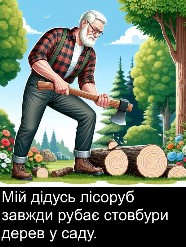 дідусь: Мій дідусь лісоруб завжди рубає стовбури дерев у саду.