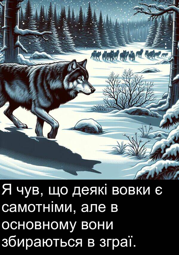 деякі: Я чув, що деякі вовки є самотніми, але в основному вони збираються в зграї.