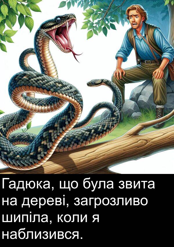 дереві: Гадюка, що була звита на дереві, загрозливо шипіла, коли я наблизився.