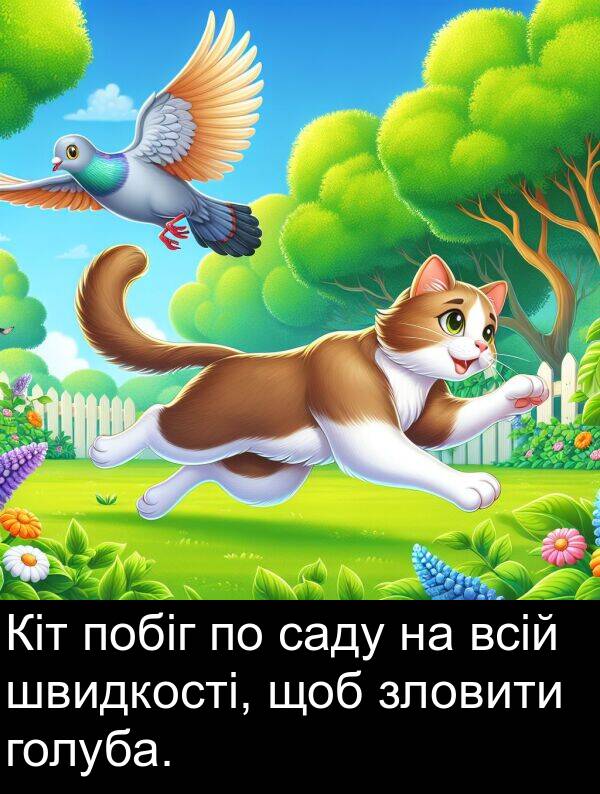голуба: Кіт побіг по саду на всій швидкості, щоб зловити голуба.